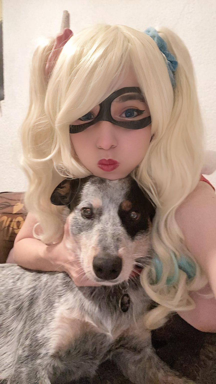 【Heyshika】HarleyQ